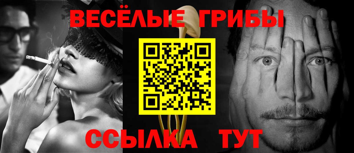 Северобайкальск  Псилоцибиновые грибы Psilocybine cubensis  Вход с VPN  Галлюциногенные грибы ЛСД 
