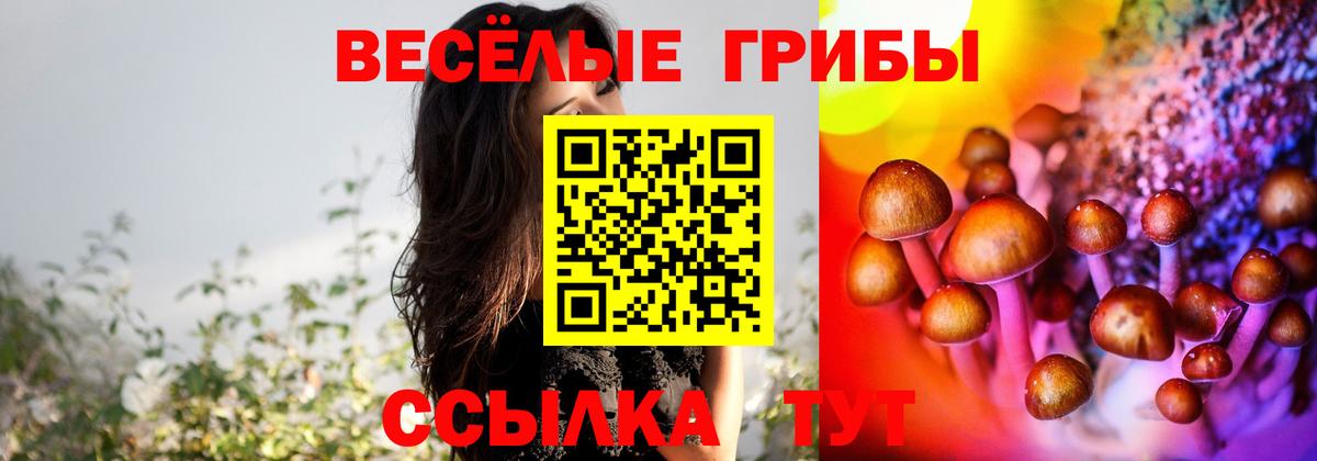 Псилоцибиновые грибы MAGIC MUSHROOMS Северобайкальск