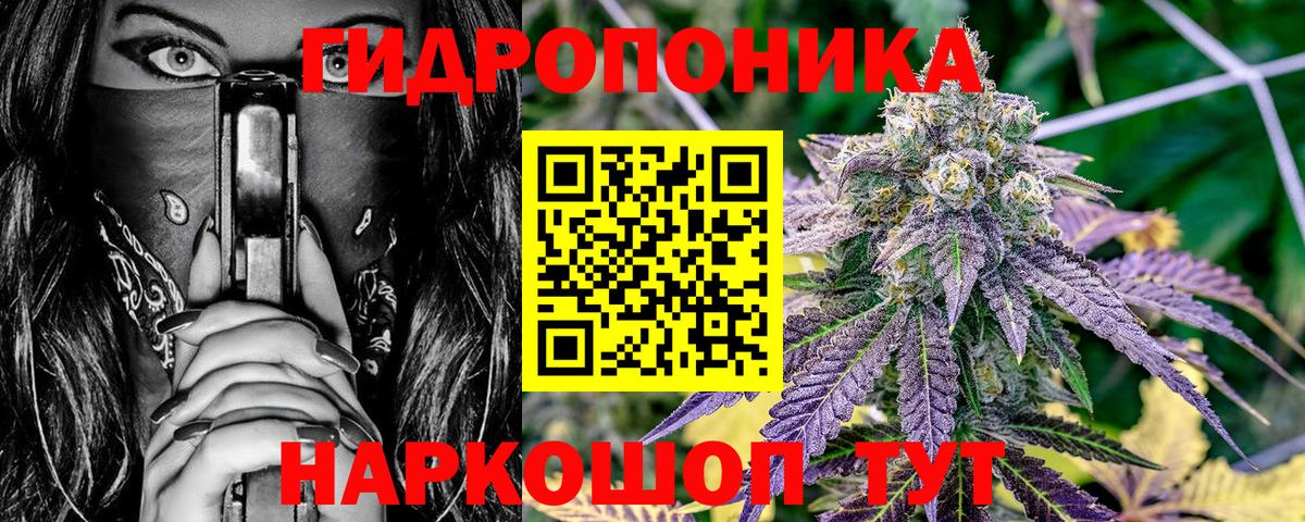 Каннабис тримм  Вход с VPN  Марихуана семена  Северобайкальск  Бошки марихуана AK-47 